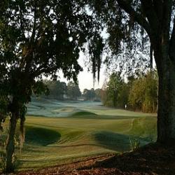 TPC at Tampa Bay